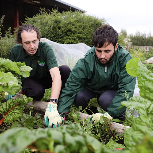 Care Farm 3